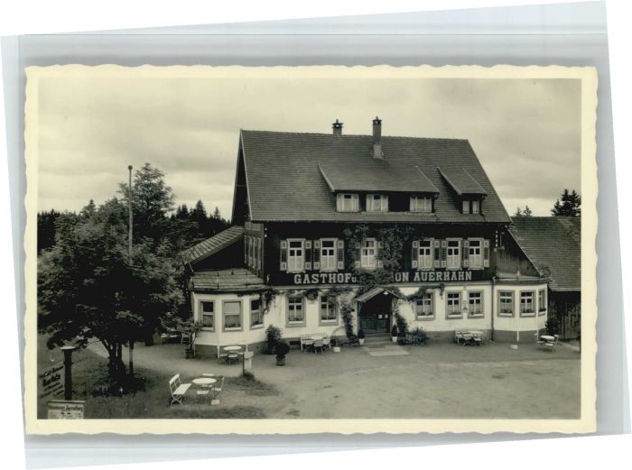 Zwieselberg Freudenstadt Gasthof zum Auerhahn