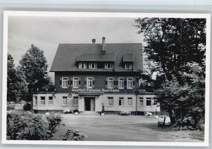 Zwieselberg Freudenstadt Gasthof zum Auerhahn