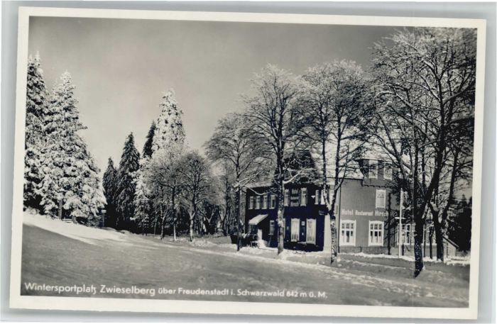 Zwieselberg Freudenstadt Pension Hirschen-Post