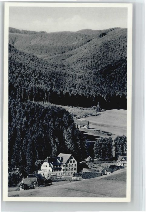 Obertal Baiersbronn Obertal Freudenstadt Hotel Pension Adle