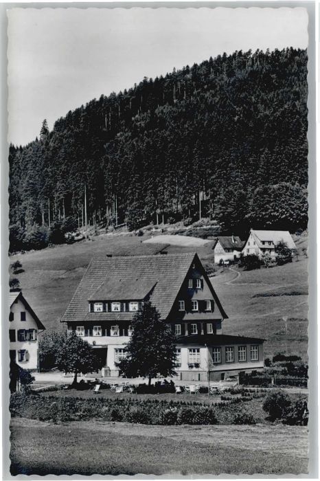 Obertal Baiersbronn Obertal Freudenstadt Gasthof Pension zu