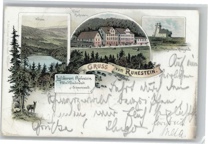 Freudenstadt Ruhestein Wildsee Hotel