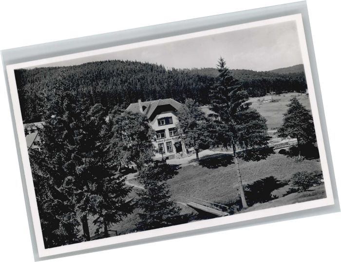 Obertal Baiersbronn Gasthof Pension Waldheim