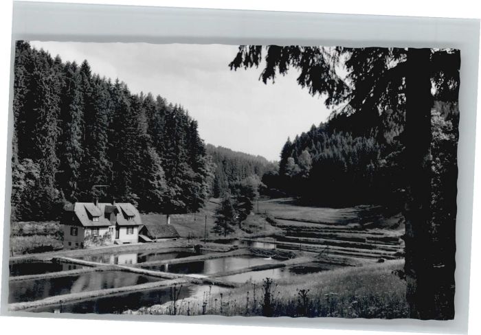 Woernersberg asthof Pension zum Anker