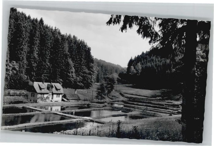 Woernersberg asthof Pension zum Anker