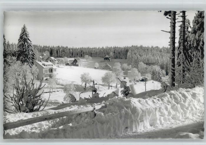 Kniebis Freudenstadt Kniebis