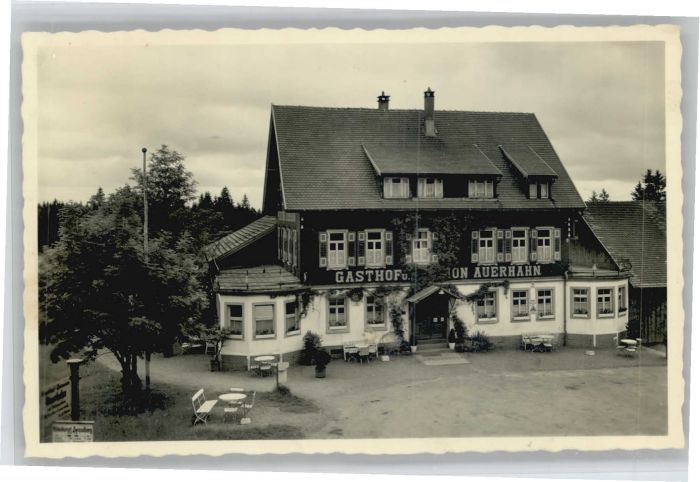 Zwieselberg Freudenstadt Gasthof zum Auerhahn