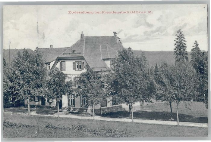 Zwieselberg Freudenstadt Hotel Pension Hirsch