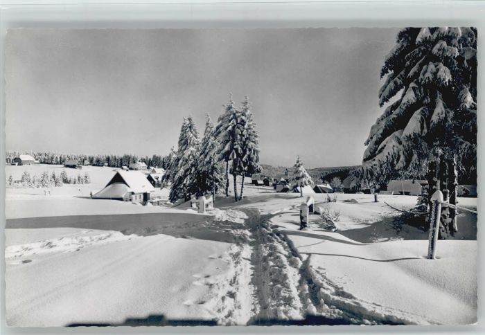 Kniebis Freudenstadt Kniebis