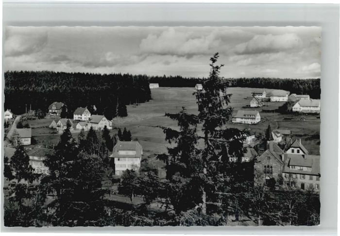 Kniebis Freudenstadt Kniebis