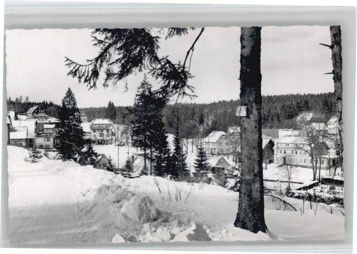 Kniebis Freudenstadt Kniebis