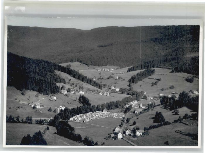Obertal Baiersbronn Fliegeraufnahme