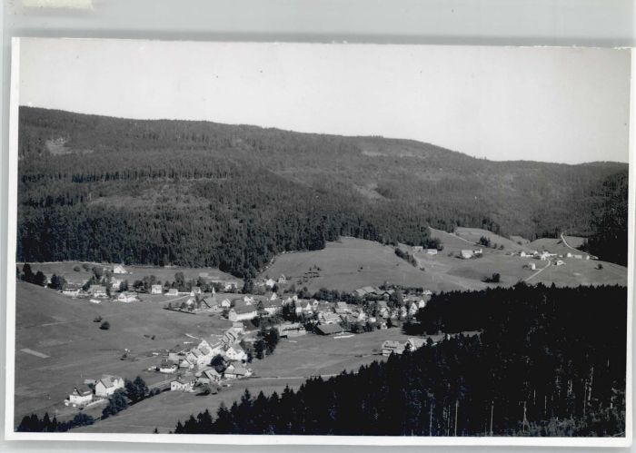Obertal Baiersbronn Fliegeraufnahme