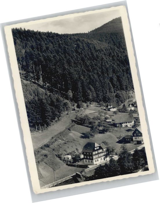 Schoenmuenzach emdenheim Elisabeth *