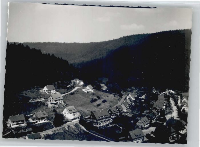 Alpirsbach Fliegeraufnahme