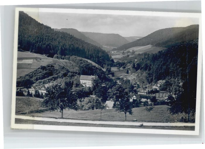 Alpirsbach Ehlenbogener Tal