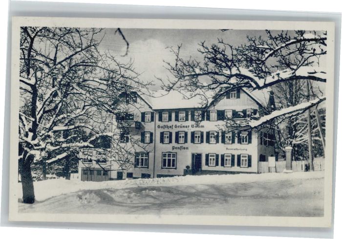 Hallwangen Dornstetten Freudenstadt BW Gasthof Kurhaus zum Gruenen Baum