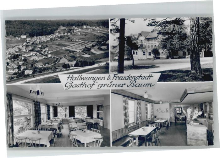 Hallwangen Gasthof Grüner Baum