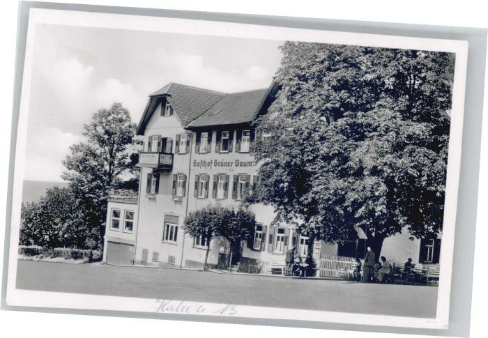 Hallwangen Gasthof Pension zum Grünen Baum