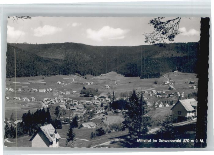 Mitteltal