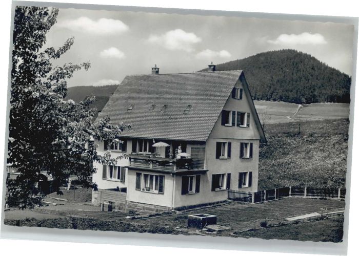 Baiersbronn Schwarzwald Baiersbronn Pension Dr. Max Quadt
