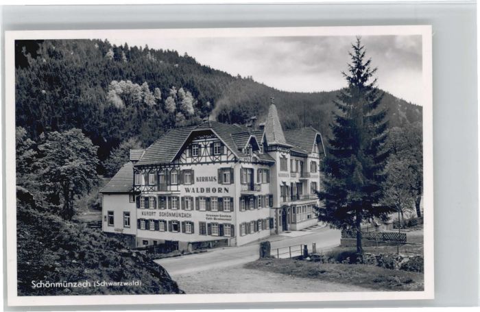 Schoenmuenzach rhaus Waldhorn *