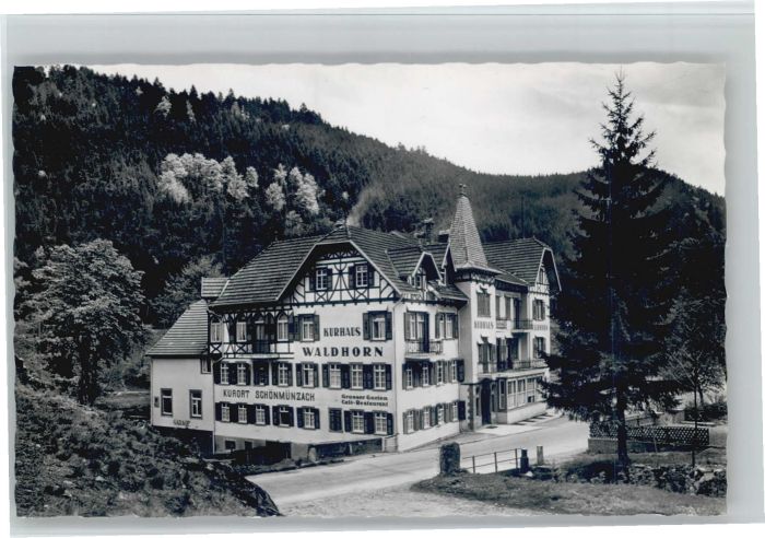 Schoenmuenzach rhaus Waldhorn *