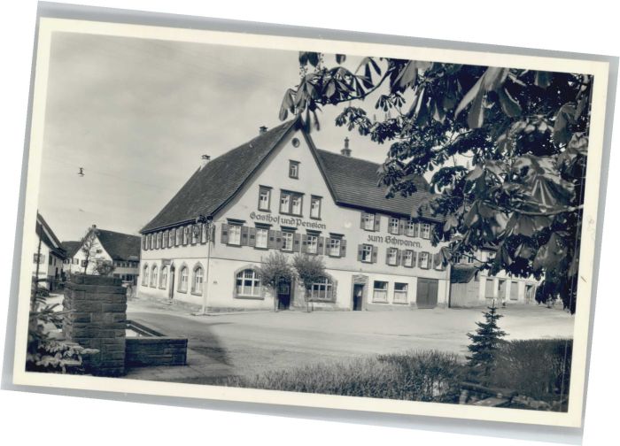 Pfalzgrafenweiler Gasthof zum Schwanen
