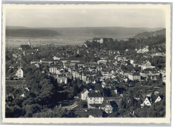 TueBINGEN BW Fliegeraufnahme