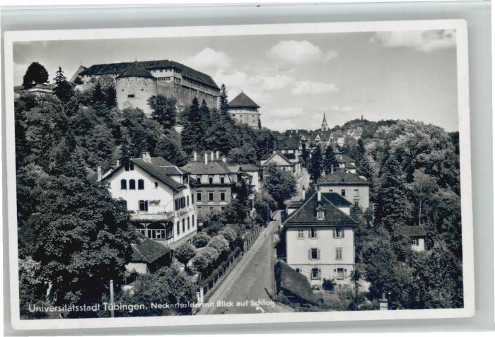 TueBINGEN BW eckarhalde Schloss