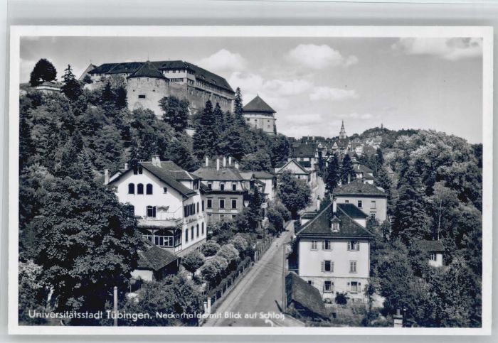 TueBINGEN BW eckarhalde Schloss