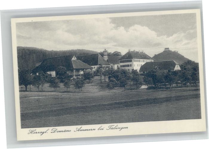 TueBINGEN BW Domaene Ammern
