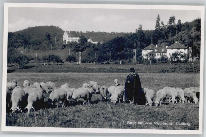 TueBINGEN BW teinlachtal Blaesiberg Schaefer Schaf *