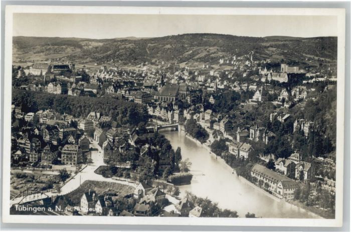 TueBINGEN BW Fliegeraufnahme