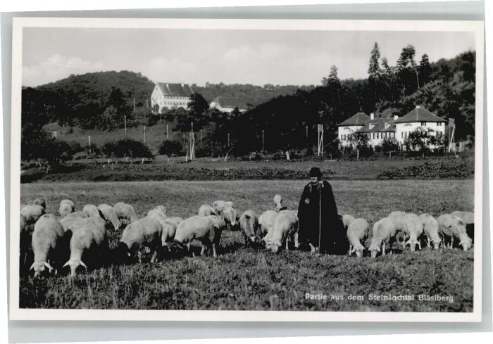 TueBINGEN BW teinlachtal Blaesiberg Schaefer Schaf *