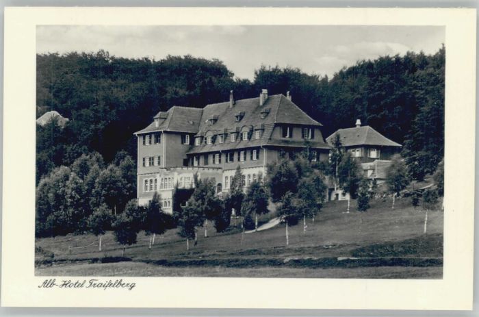 Traifelberg Albhotel