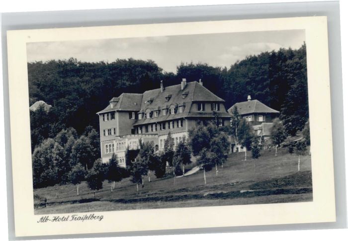 Traifelberg Albhotel