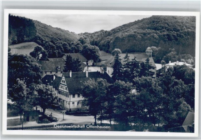 Offenhausen Gomadingen Offenhausen Gestütswirtschaft