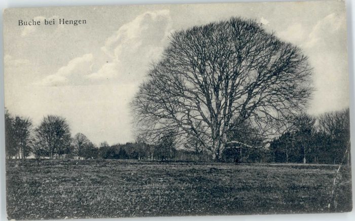 Hengen Buche