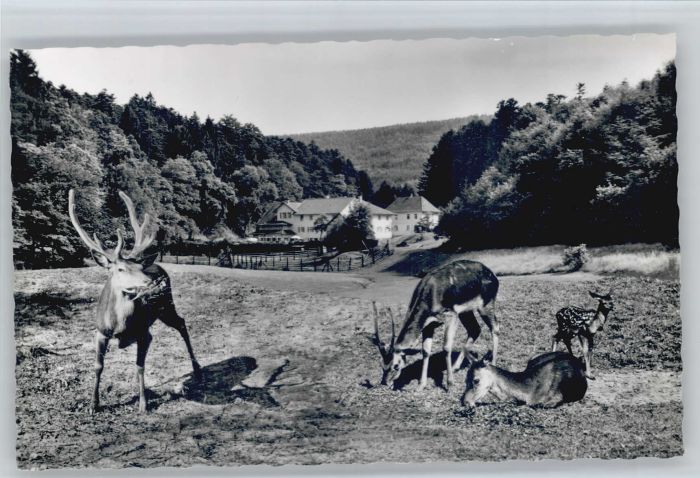 Marxzell Karsruhe BW Wald Hotel Bergschmiede