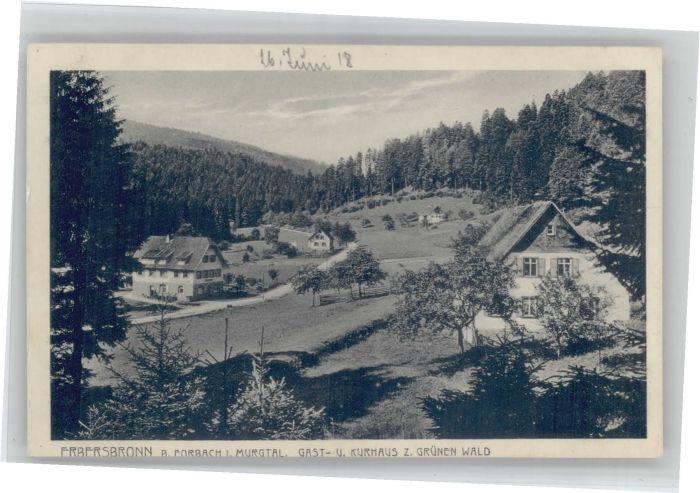 Erbersbronn Gasthaus Kurhaus zum grünen Wald