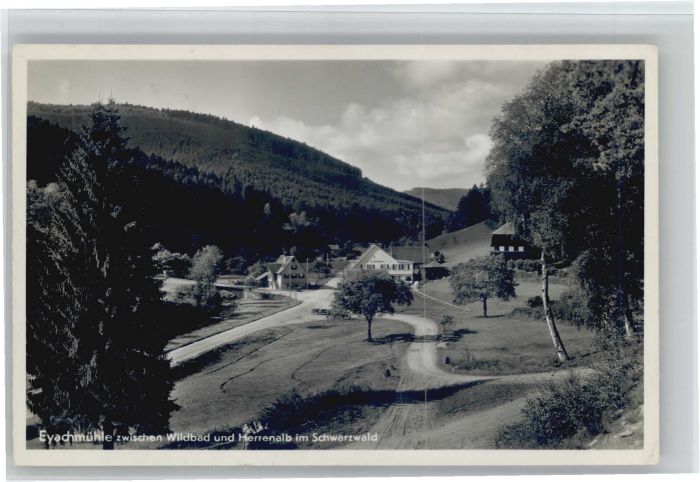 Dobel Schwarzwald Dobel Eyachmühle