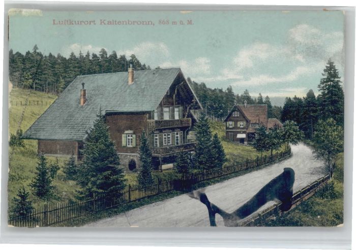 Kaltenbronn