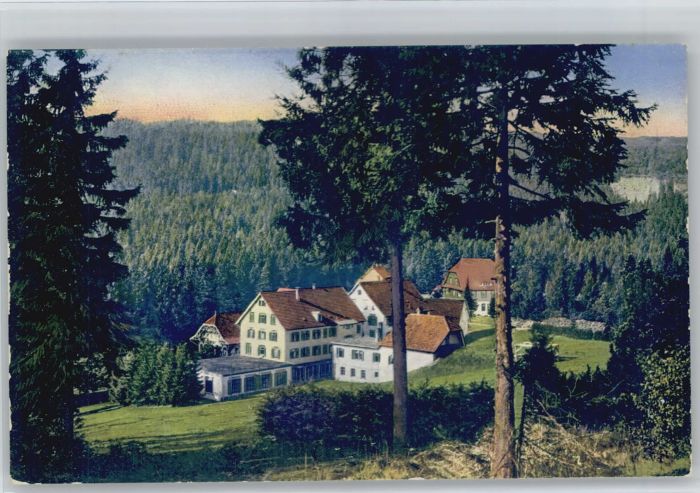 Ruhestein Hotel Kurhaus