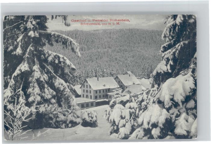 Ruhestein Gasthof Pension