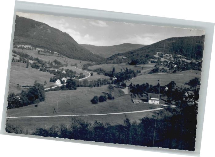 Lauf Baden Laufbachtal