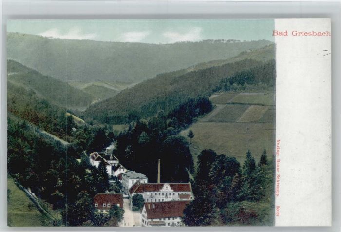 Bad Peterstal-Griesbach