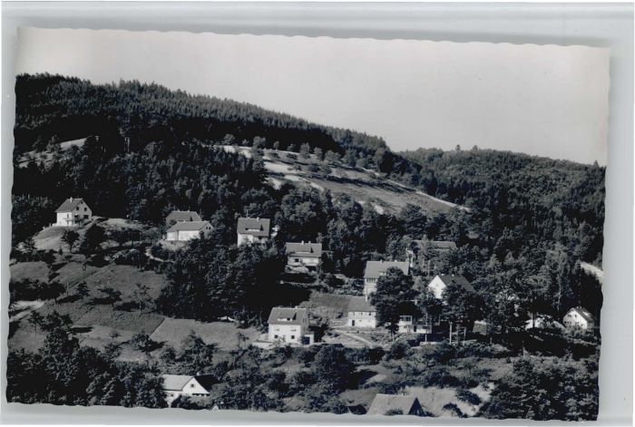 Bad Peterstal-Griesbach Bad Peterstal Leopoldstrasse Forsthauss