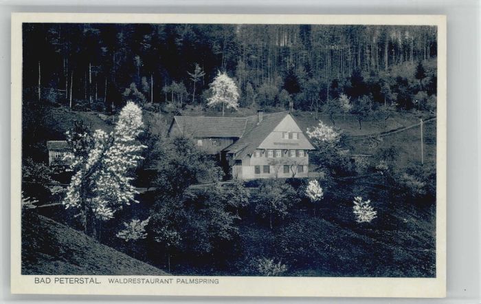 Bad Peterstal-Griesbach Bad Peterstal Waldrestaurant Palmspring