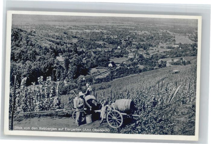Oberkirch Baden Rebbergen